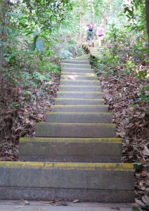 Steps