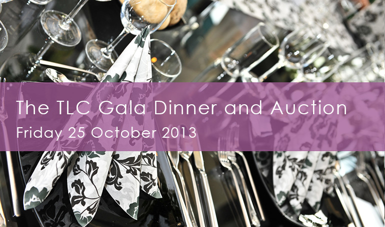 Climb Any Mountain Gala Dinner Film